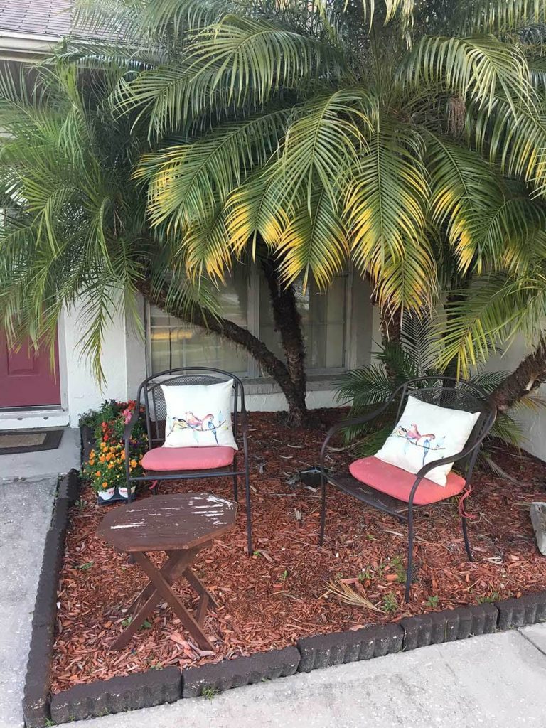 Florida palm trees, front door