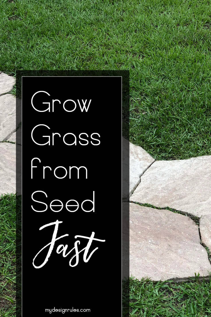 Grow Grass From Seed Fast in Florida pin