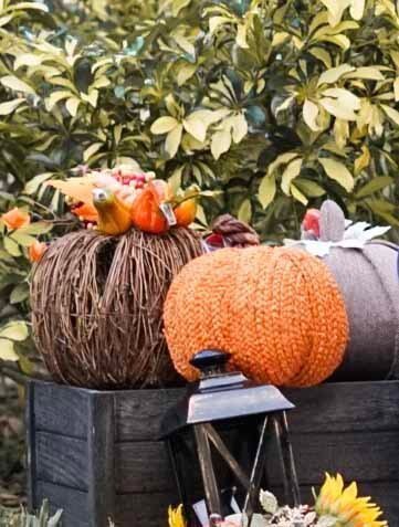 autumn pumpkins for a fall family photo shoot